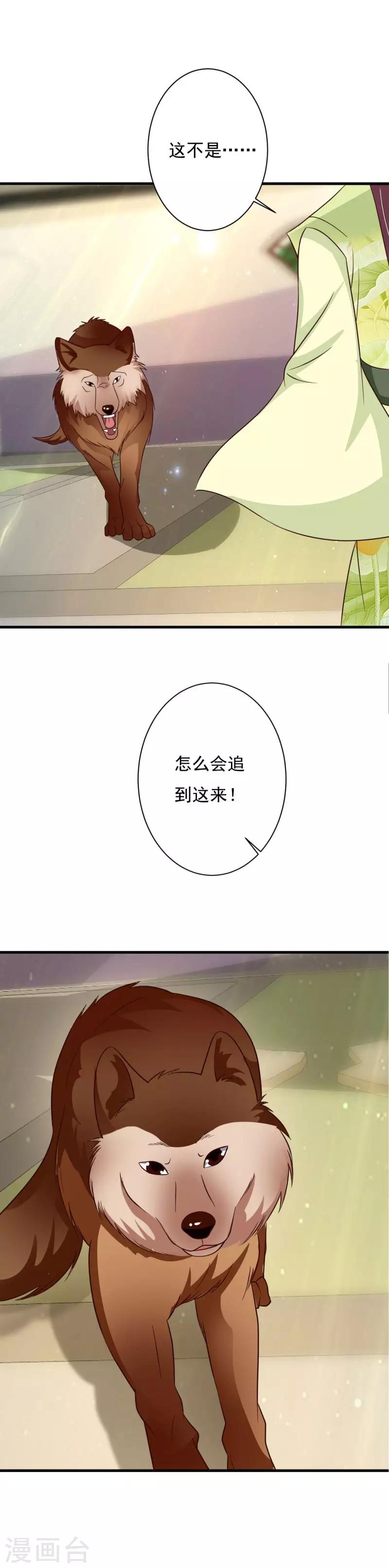 第73话 我怎敢高攀王爷-第77话