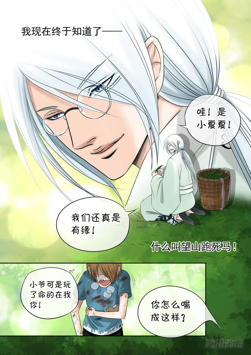 41 肉丸1-第41话