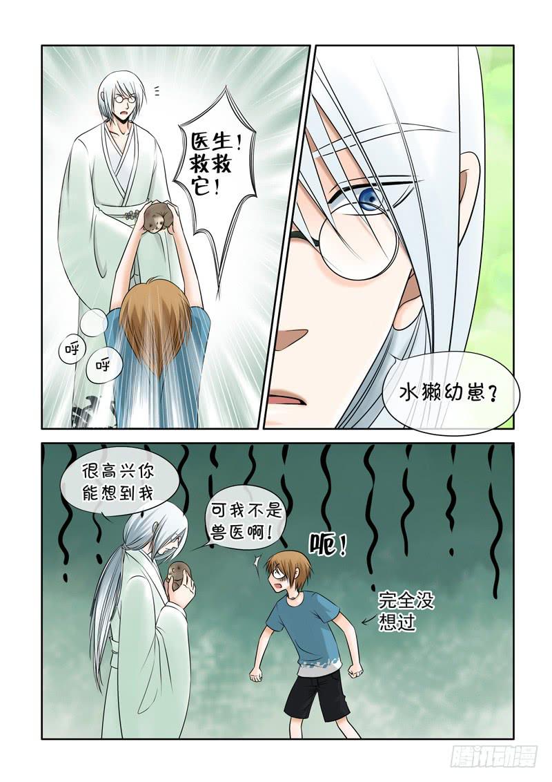 41 肉丸1-第41话