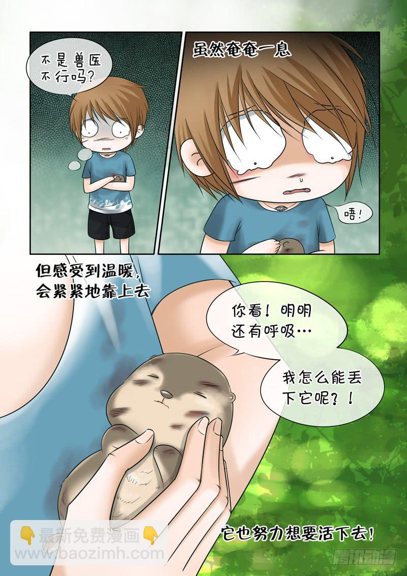 41 肉丸1-第41话