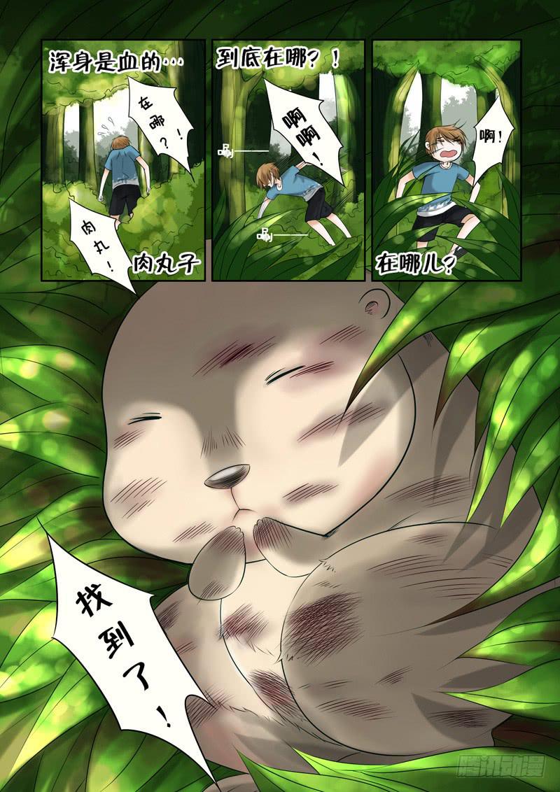 41 肉丸1-第41话