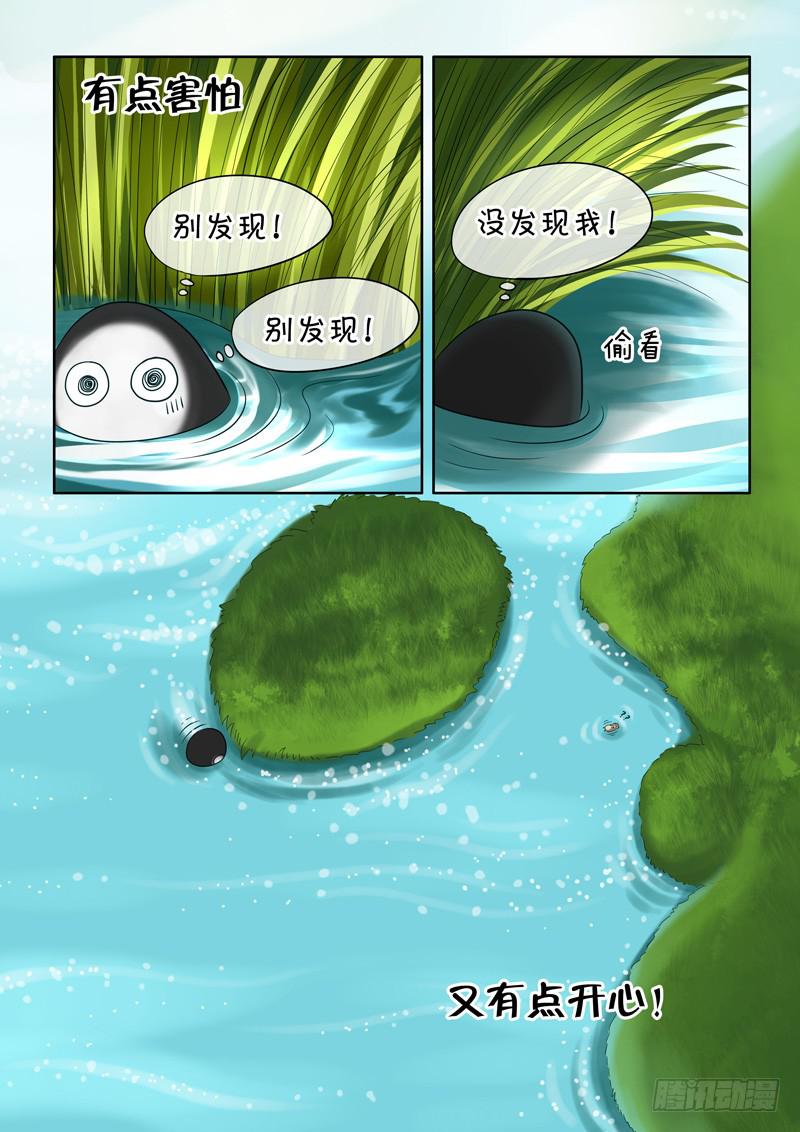 45 肉丸5-第45话