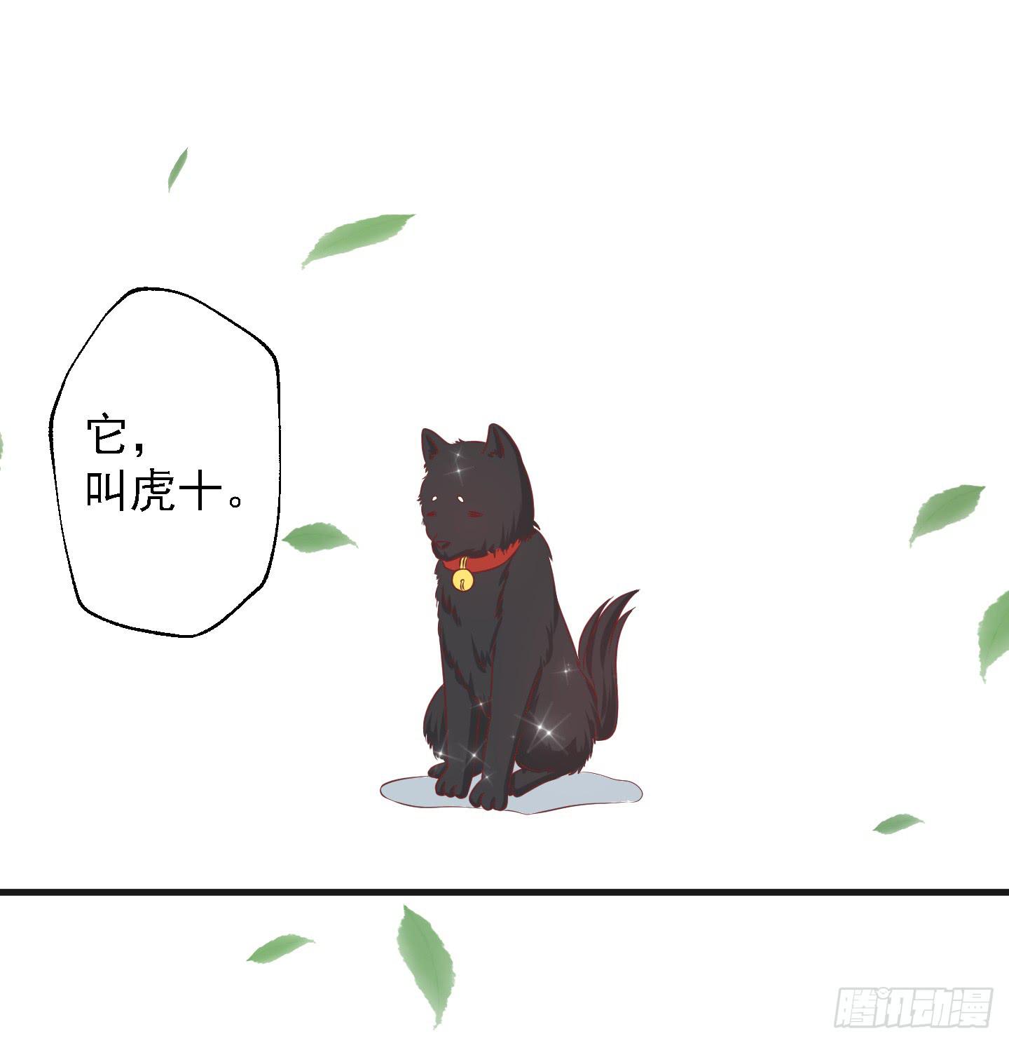 要点脸，那种人设明明是我的好伐！-第13话