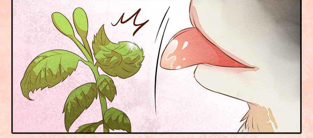 【番外】狼妖龙葵草番外-第33话