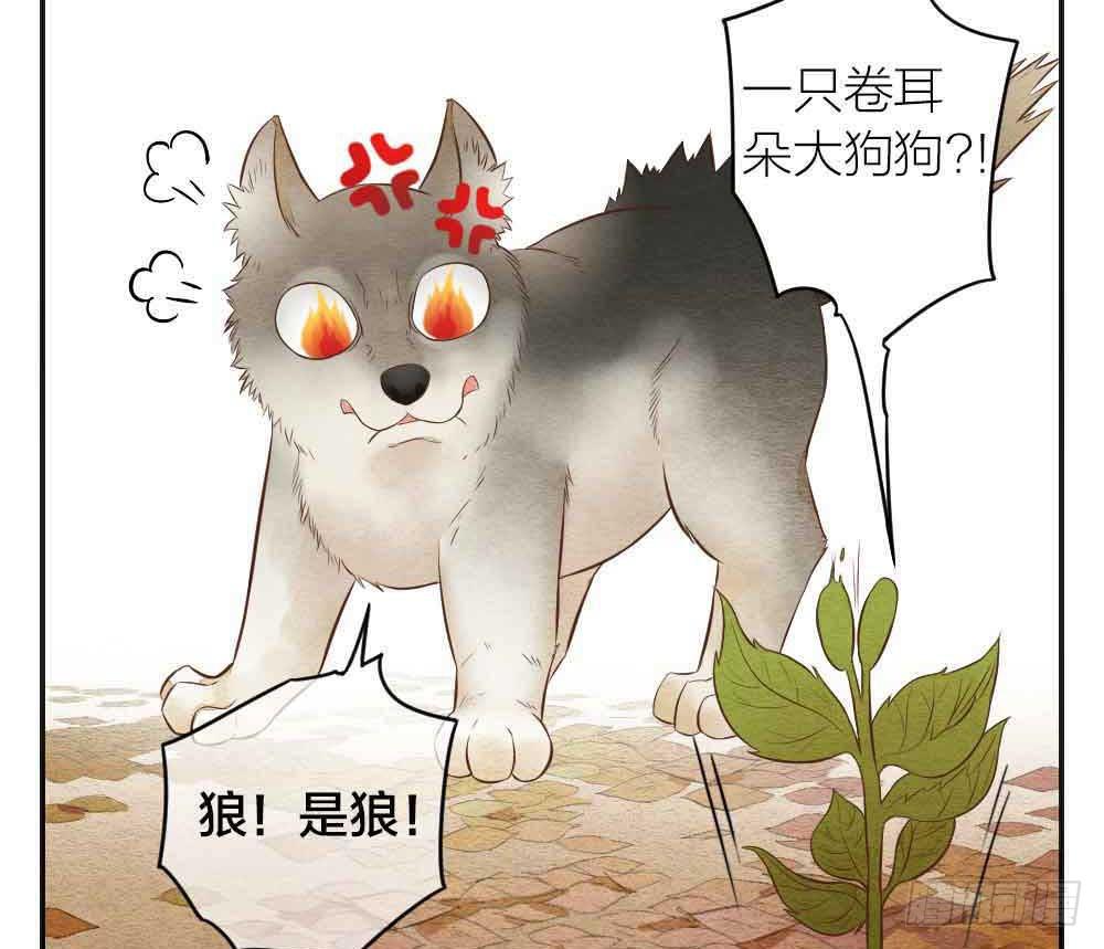 【番外】狼妖龙葵草番外-第33话