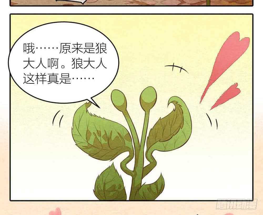 【番外】狼妖龙葵草番外-第33话