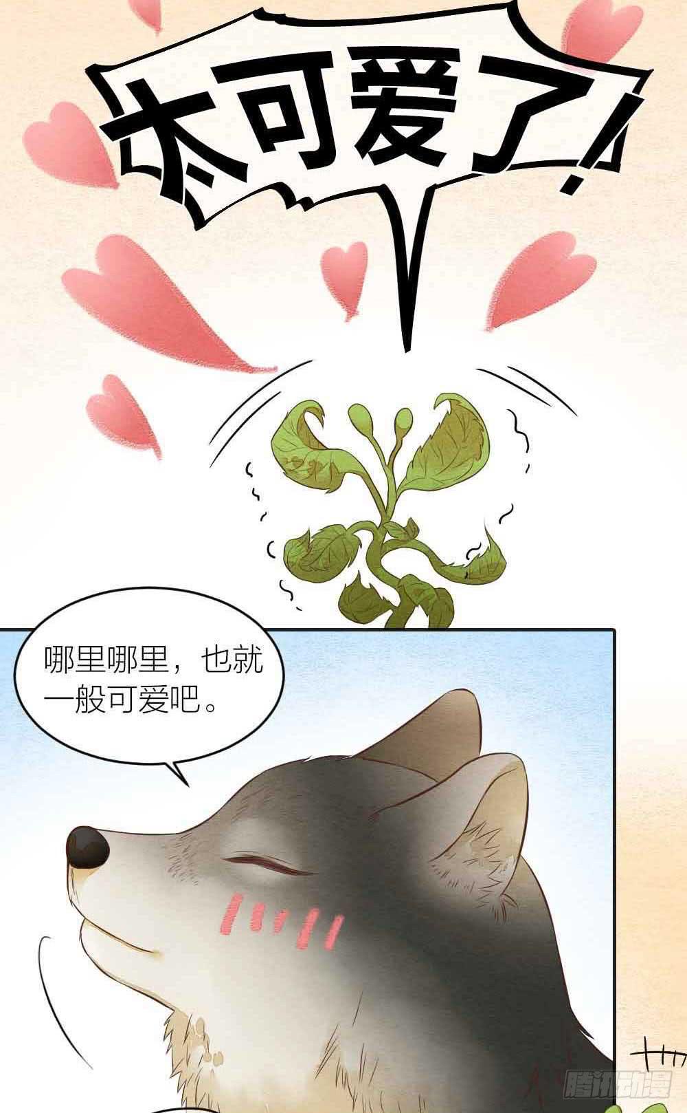【番外】狼妖龙葵草番外-第33话