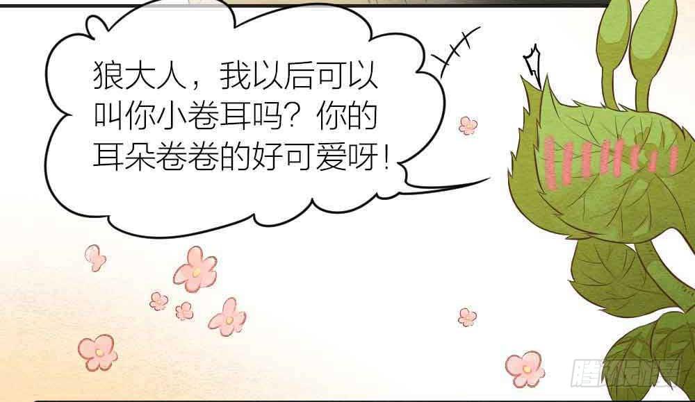 【番外】狼妖龙葵草番外-第33话