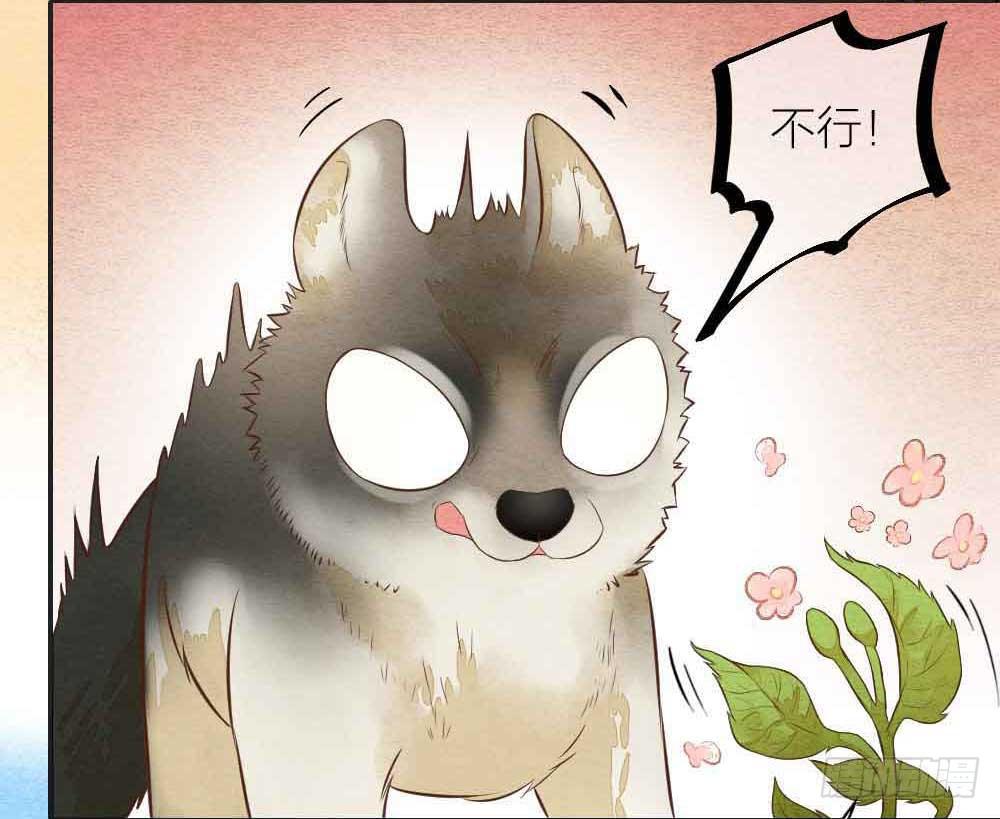 【番外】狼妖龙葵草番外-第33话