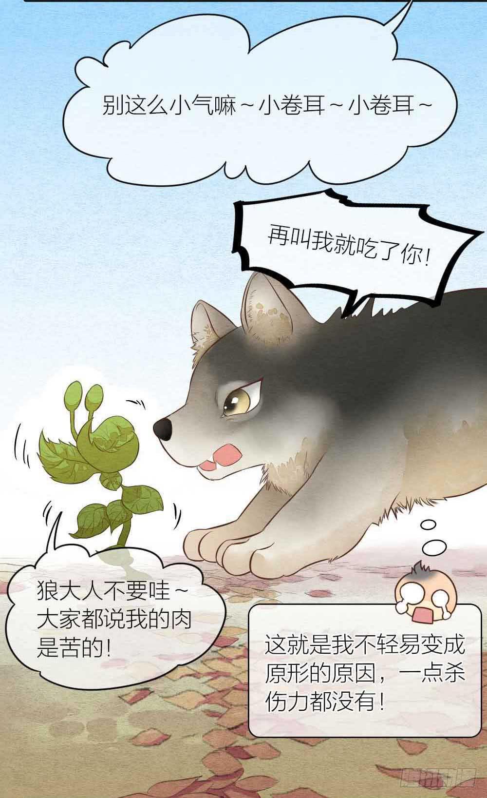【番外】狼妖龙葵草番外-第33话