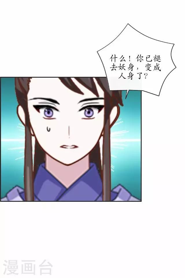 第37话 险吃霸王餐(1/2)-第37话