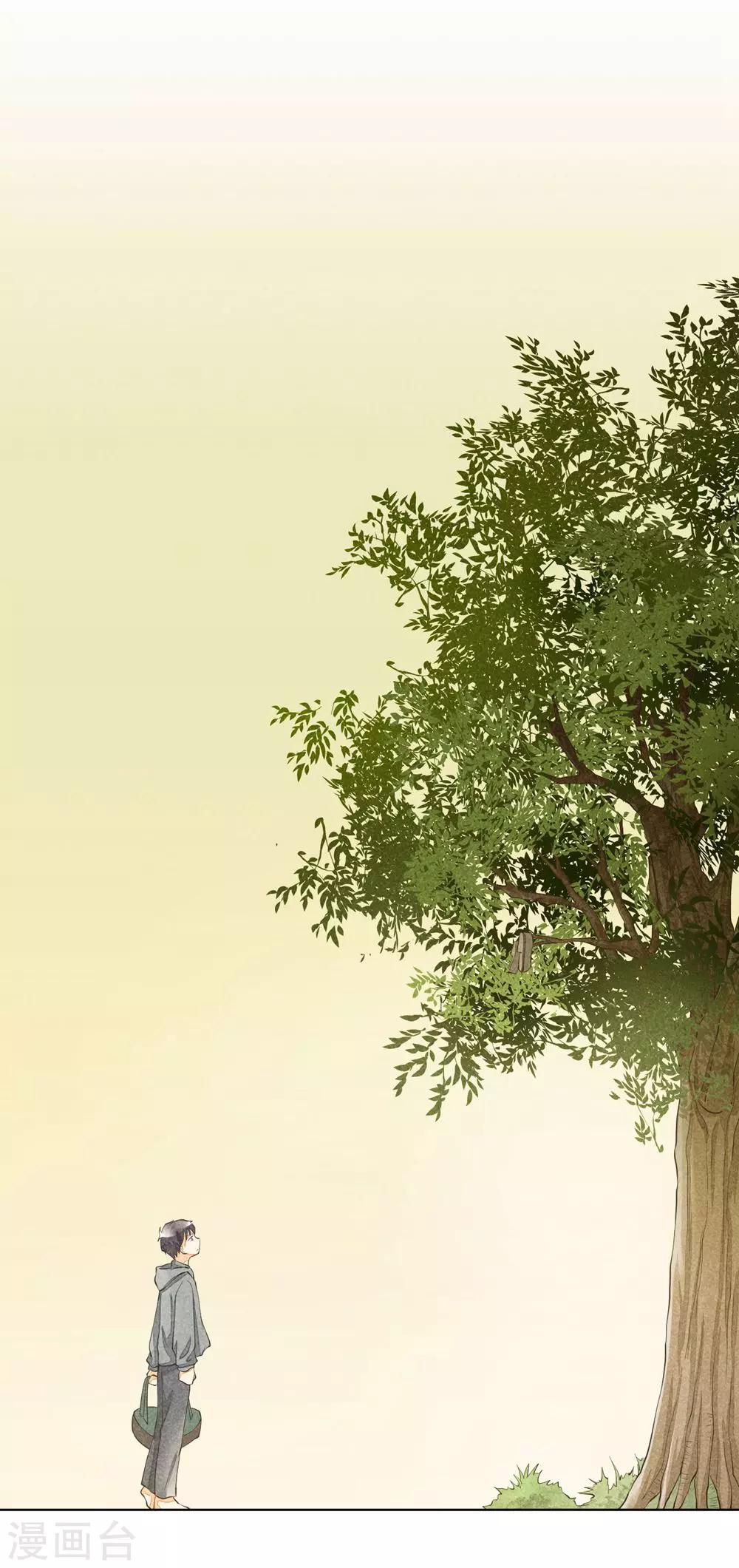 第26话 生命的阳光-第29话