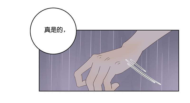 12.落魄的夜晚(1/2)-第13话