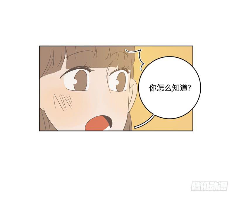 20.一起生活的第一天(1/2)-第23话