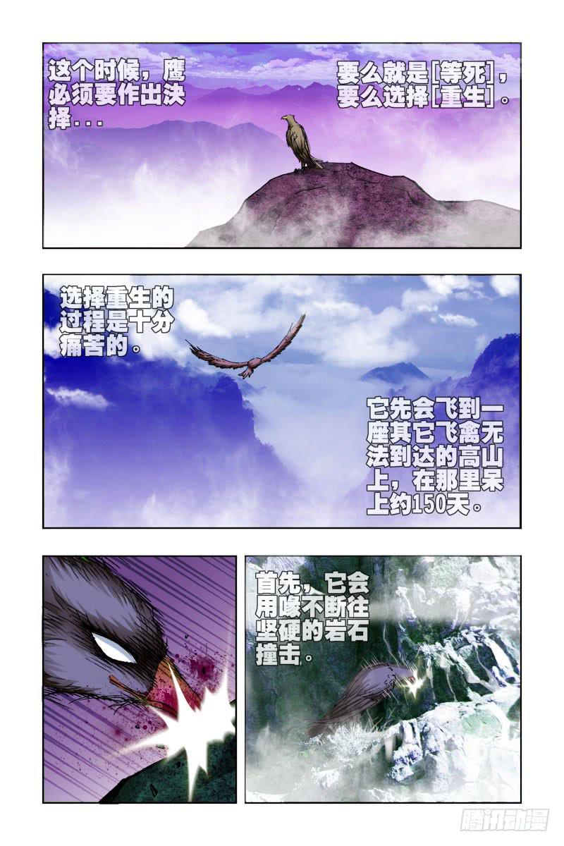 第三十二话-[生死决择!]-第33话