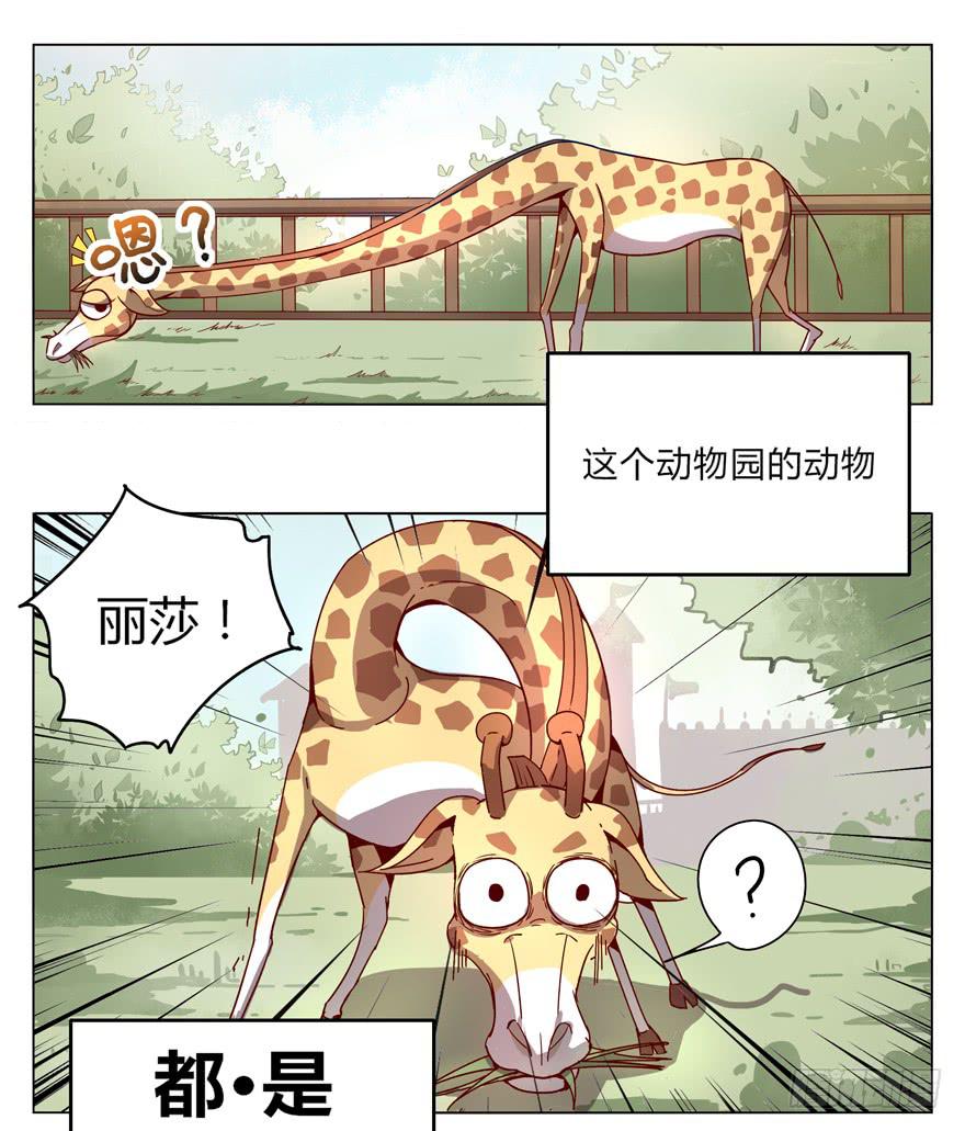 奇葩动物在这里(1/2)-第1话