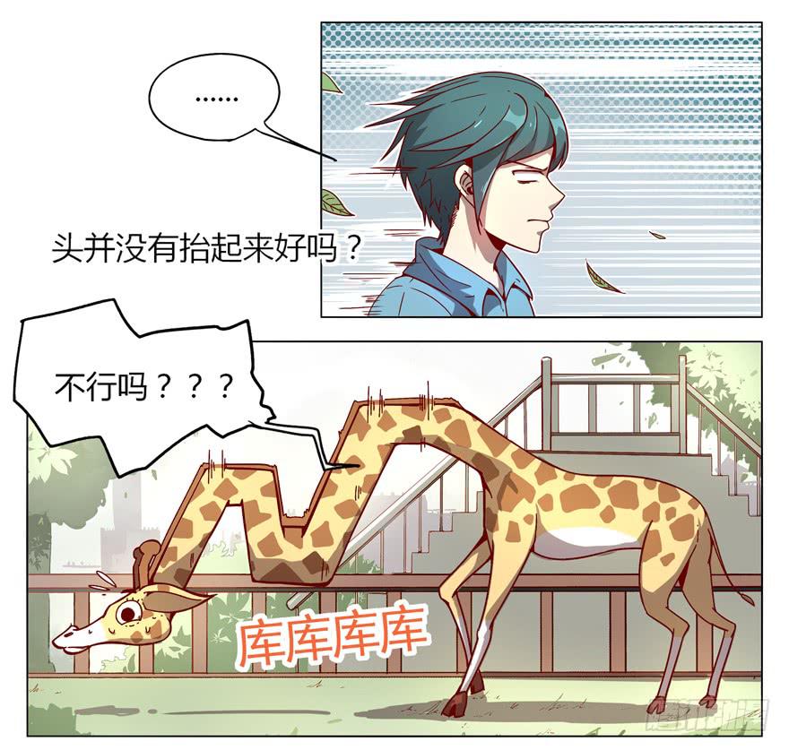 奇葩动物在这里(1/2)-第1话