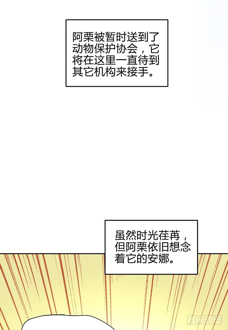 只有食物给你真实的回报-第11话