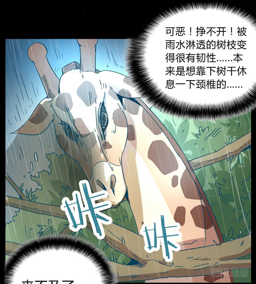 别抬头 会有抬头纹(1/2)-第23话