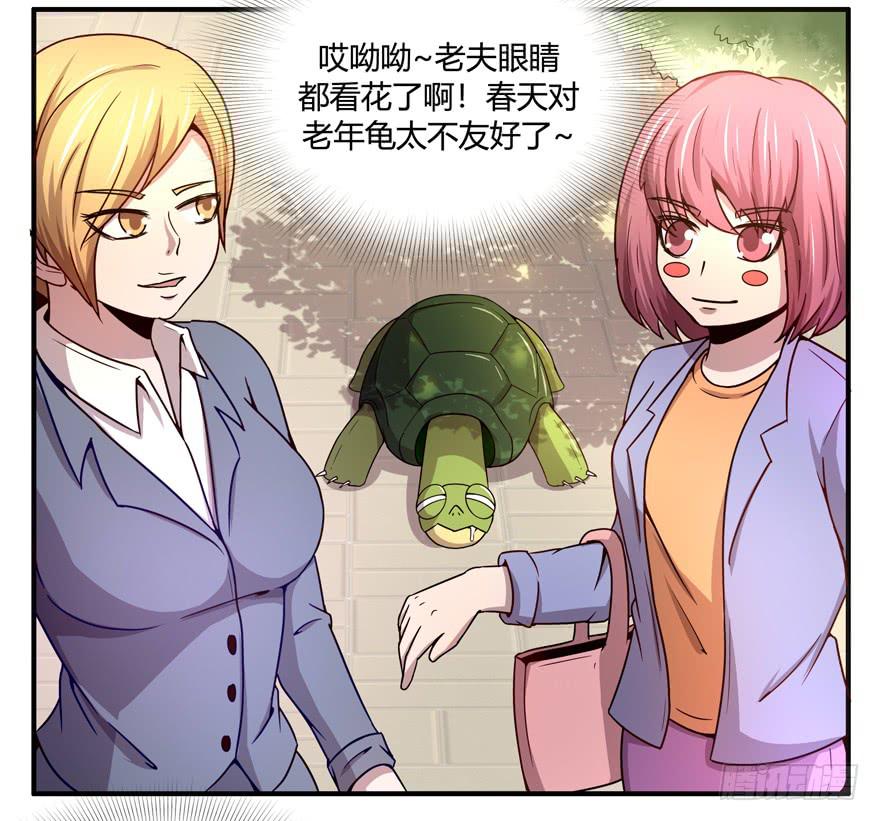 绝对领域是绝对不能看的领域-第57话
