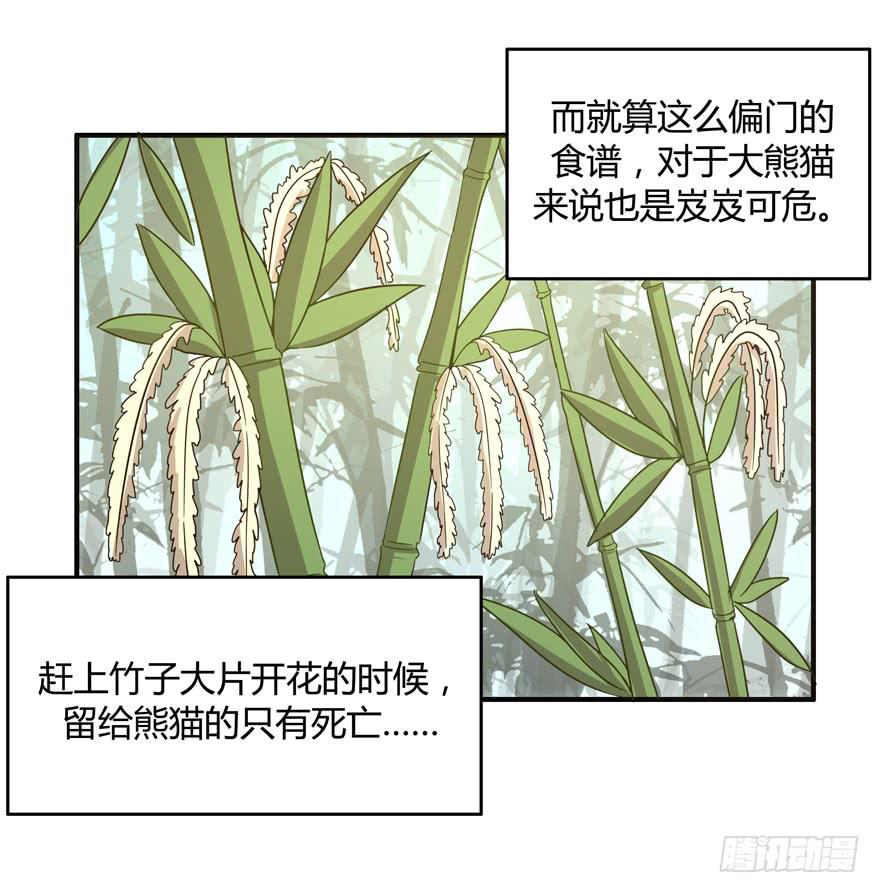 身被芙蓉(1/2)-第61话