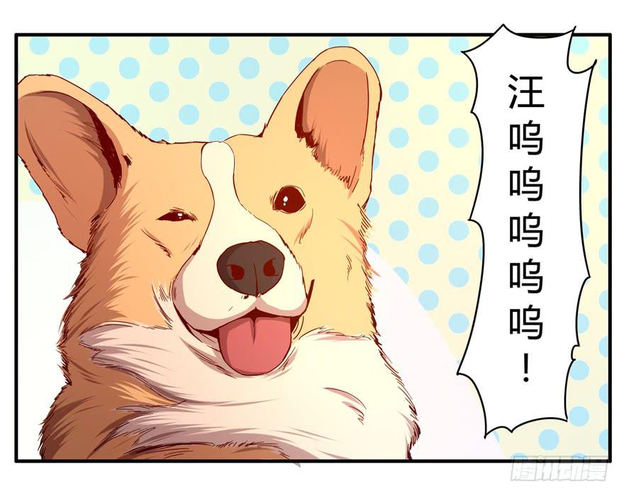 世界有我们许多不懂的地方(1/2)-第63话