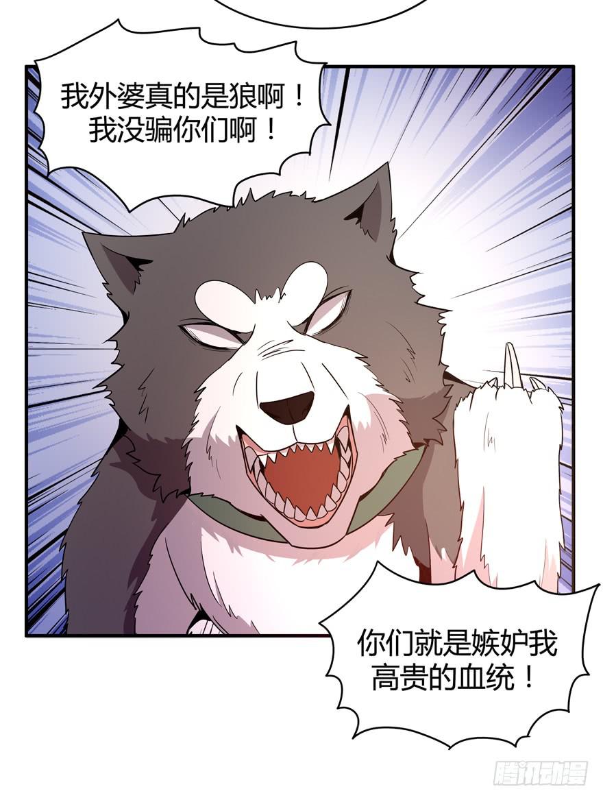 王二哈的身世之谜-第75话