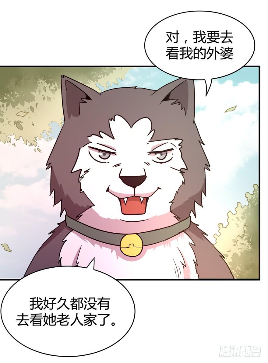 王二哈的身世之谜-第75话
