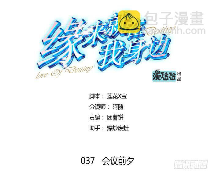 会议前夕-第37话