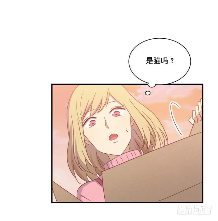 神秘纸箱-第57话