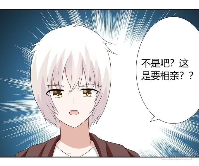 相亲？！-第117话