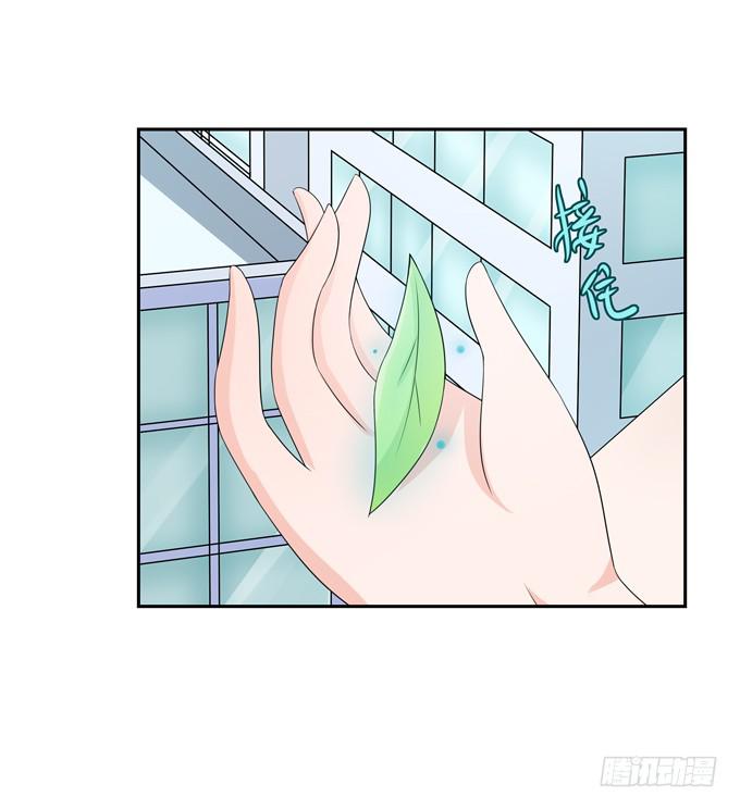 晚礼服(1/2)-第119话