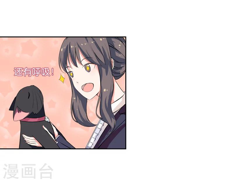 第1话 夜遇死猫？-第1话