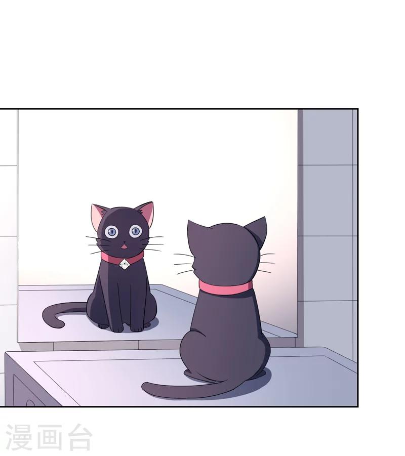 第1话 夜遇死猫？-第1话