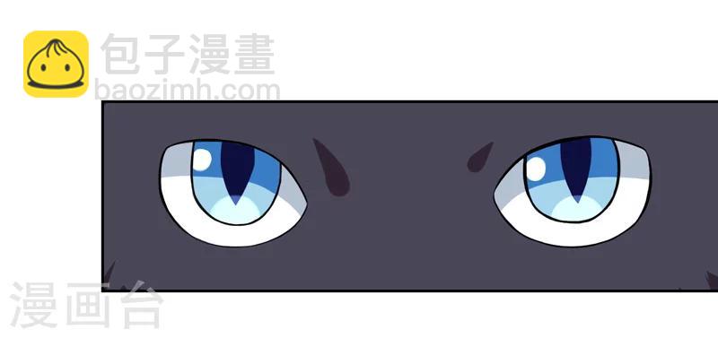 第1话 夜遇死猫？-第1话