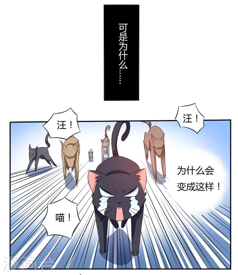 第3话 猫落平阳被犬欺-第3话