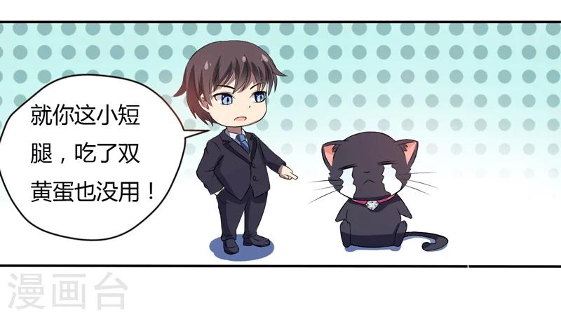 第3话 猫落平阳被犬欺-第3话