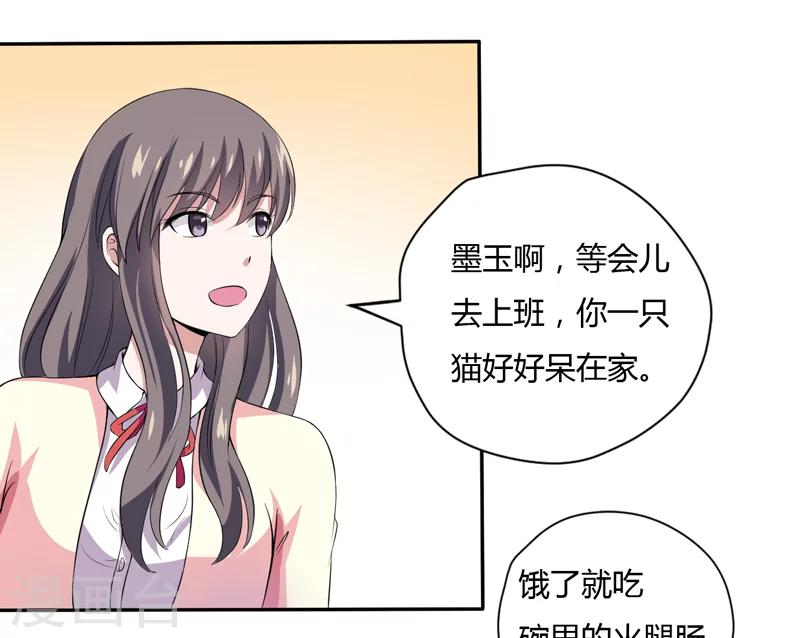 第3话 猫落平阳被犬欺-第3话