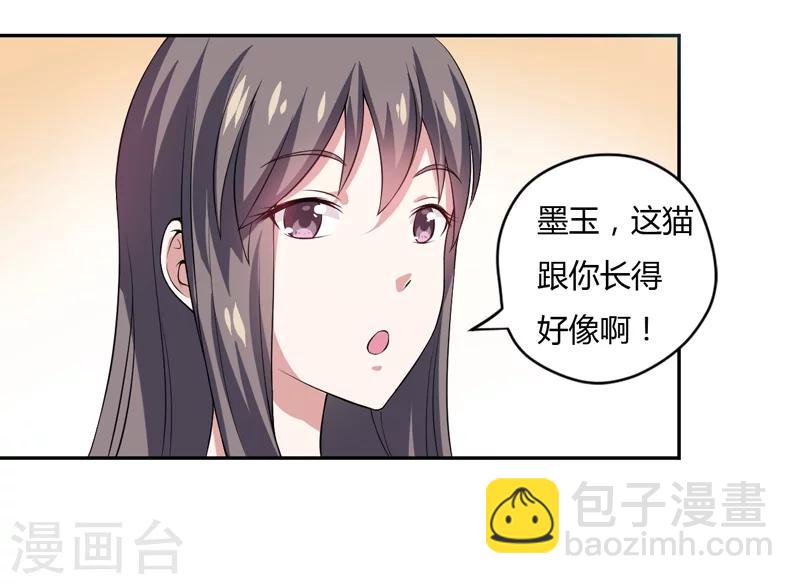 第3话 猫落平阳被犬欺-第3话