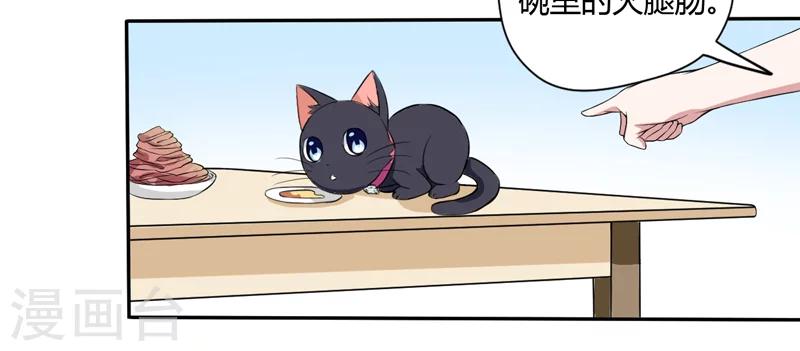 第3话 猫落平阳被犬欺-第3话