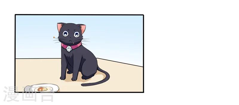 第3话 猫落平阳被犬欺-第3话