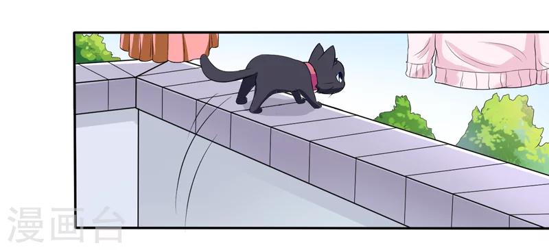 第3话 猫落平阳被犬欺-第3话