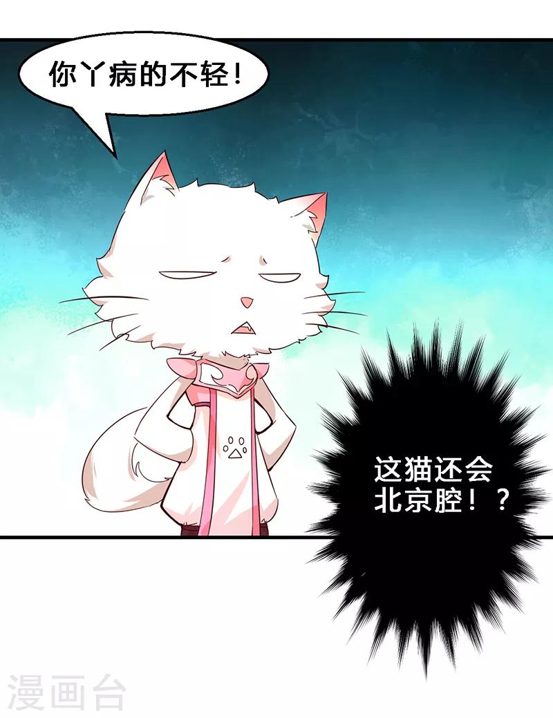 第2话 不养猫就会死-第3话
