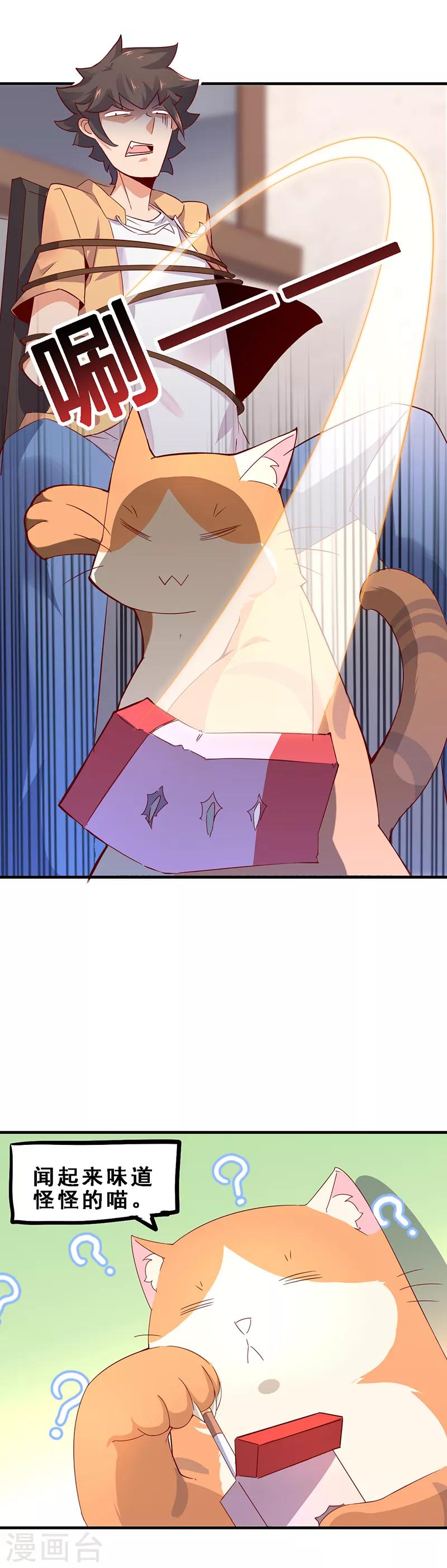 第2话 不养猫就会死-第3话