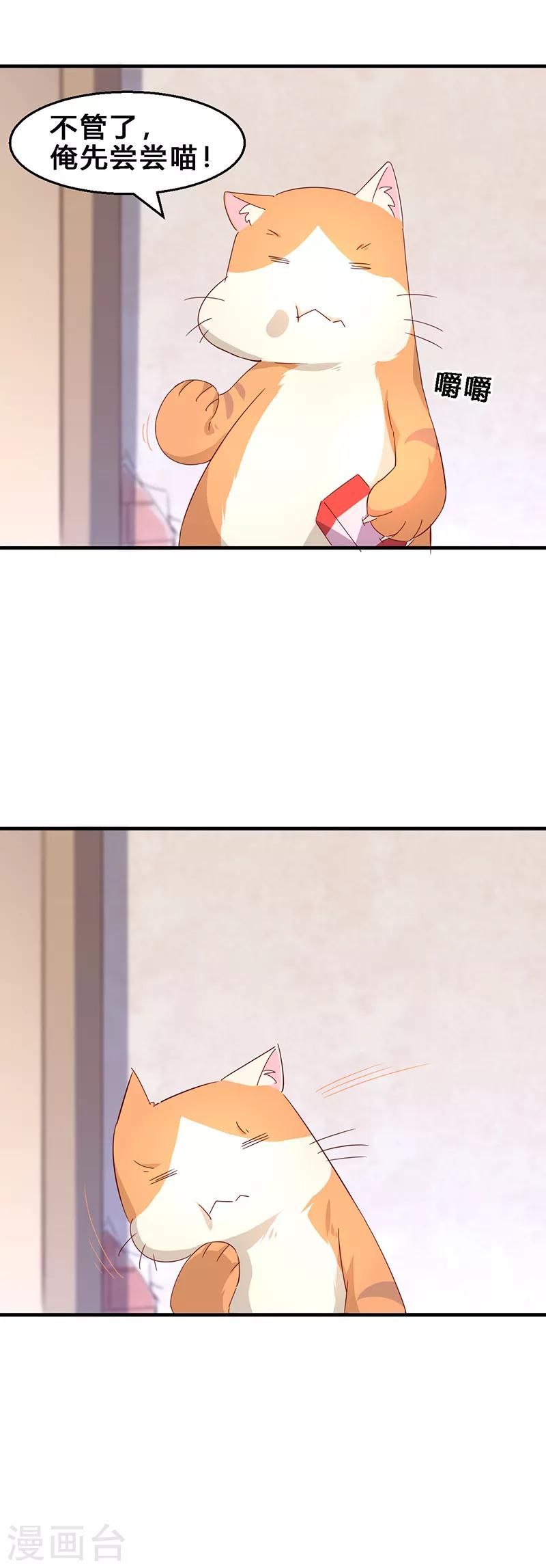 第2话 不养猫就会死-第3话