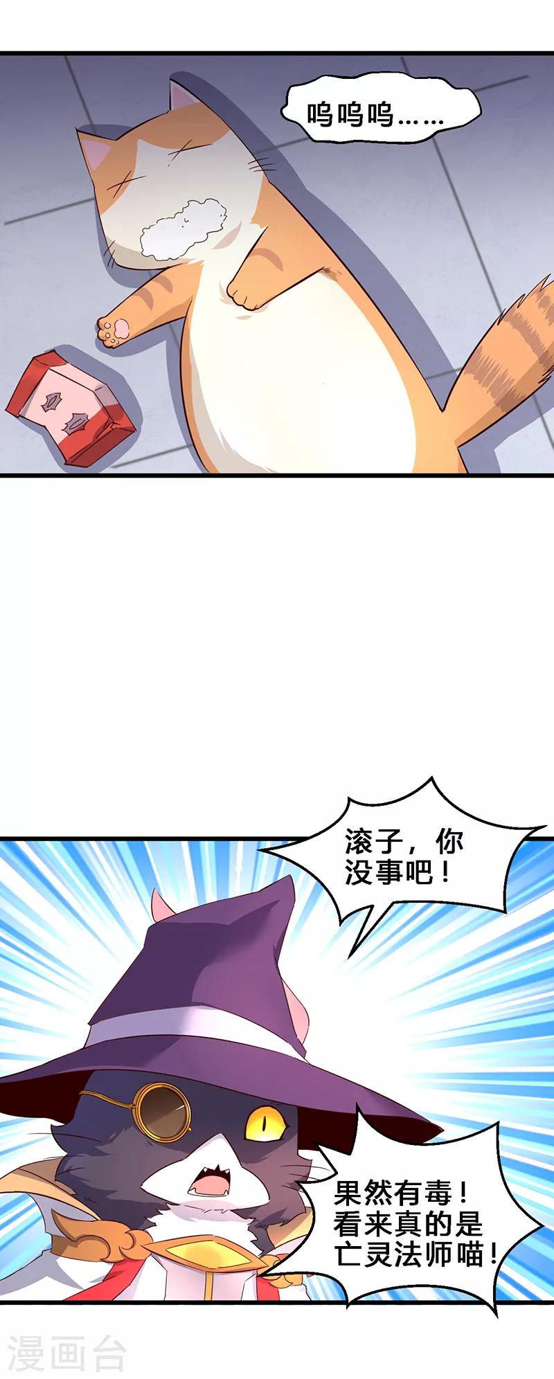 第2话 不养猫就会死-第3话