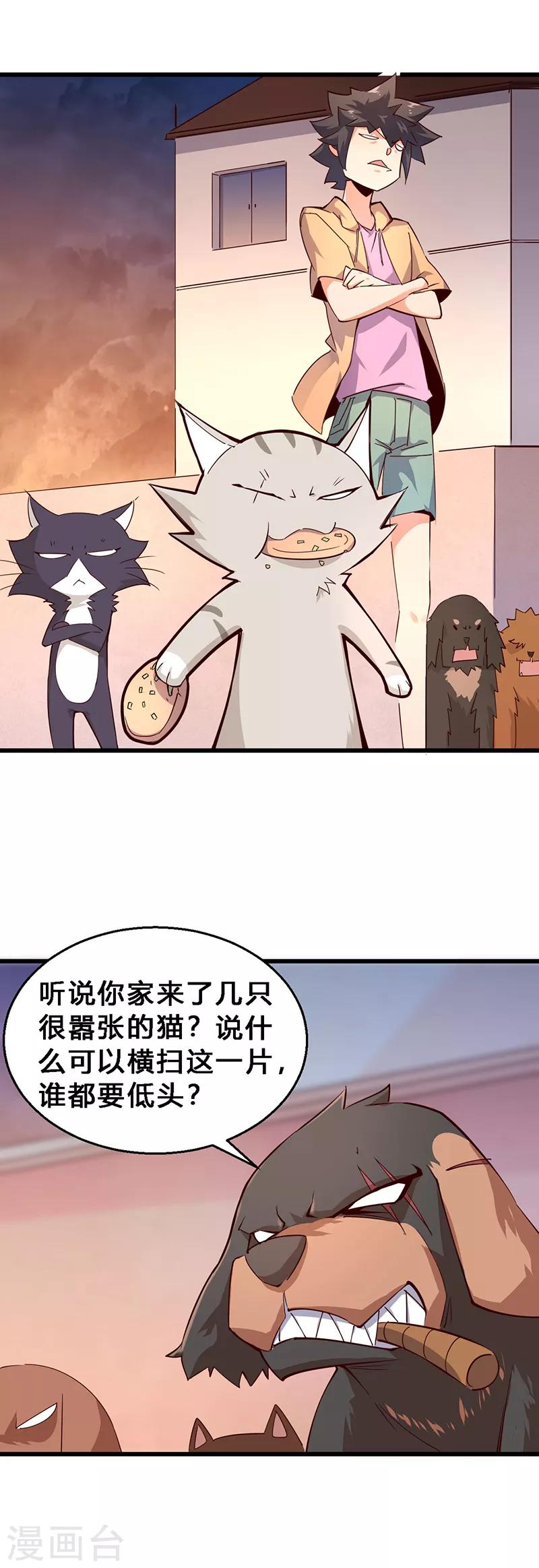 第26话 猫狗大战1-第27话