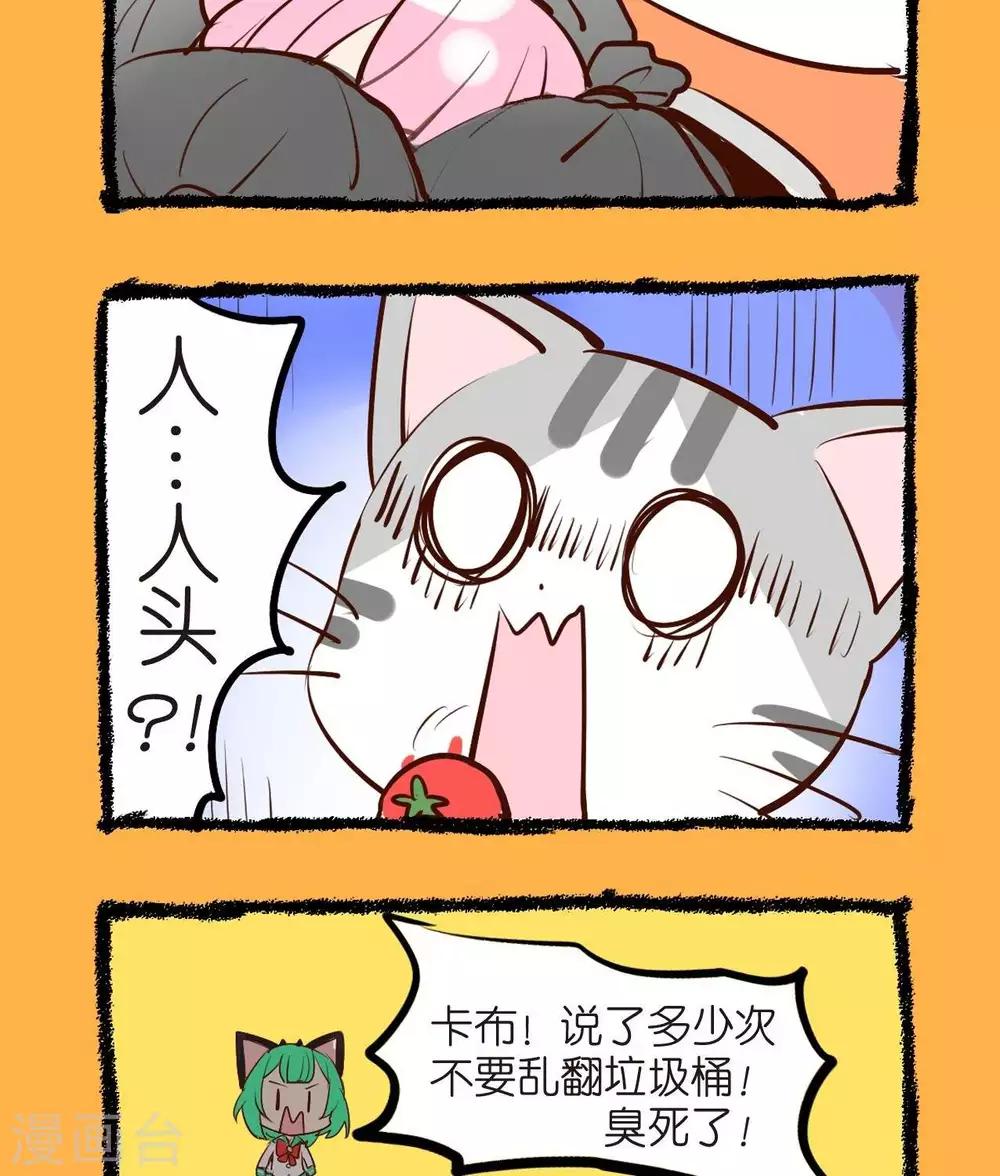 第49话  奇妙的邂逅-第49话