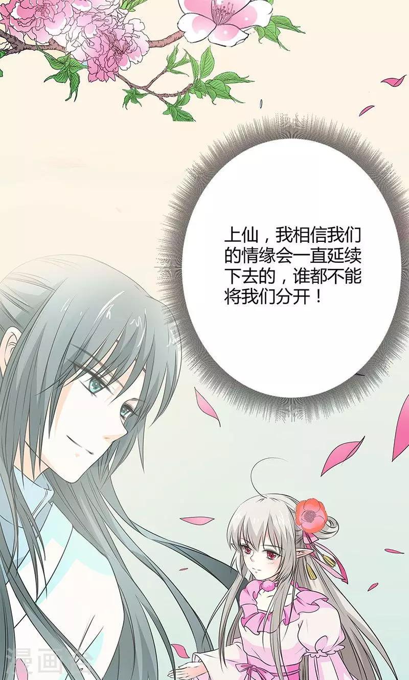 第3季56话 情缘树-第193话