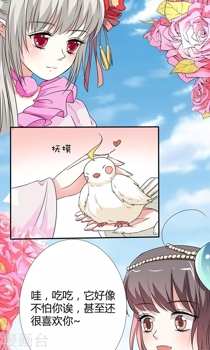 第3季56话 情缘树-第193话